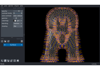 Surface normals wireframe