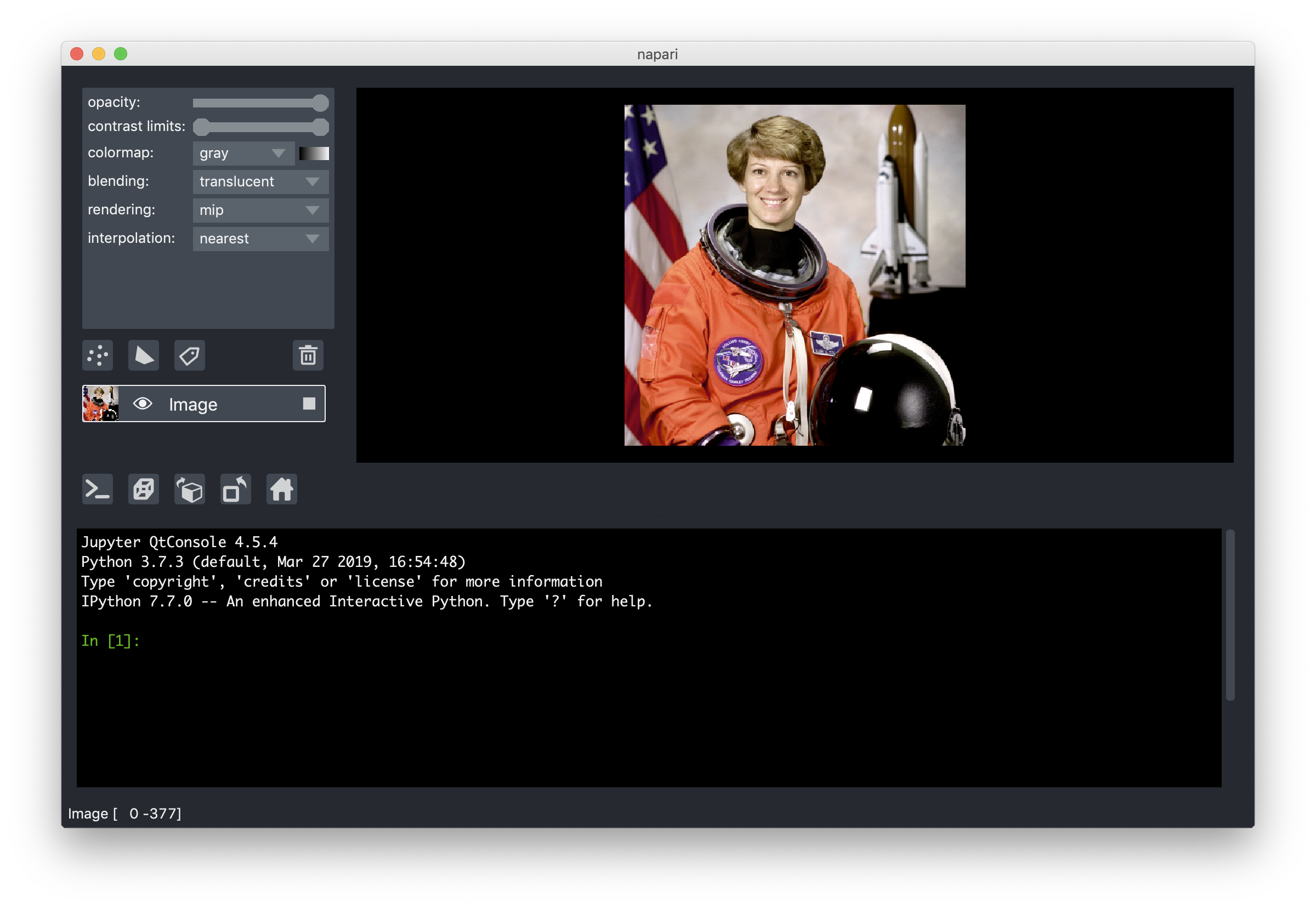 image: console within napari