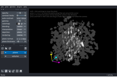 3D image plane rendering