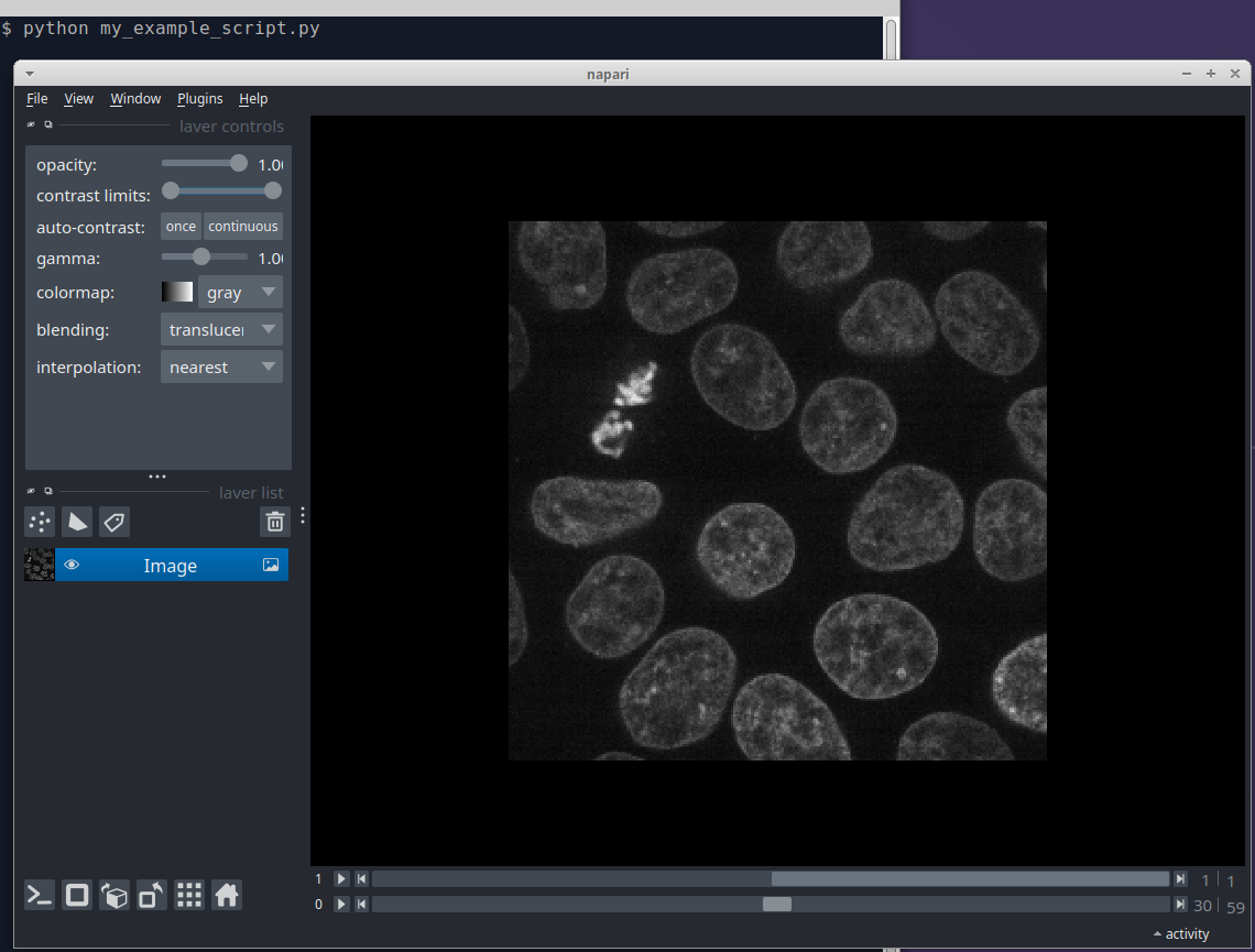 image: napari launched from a python script