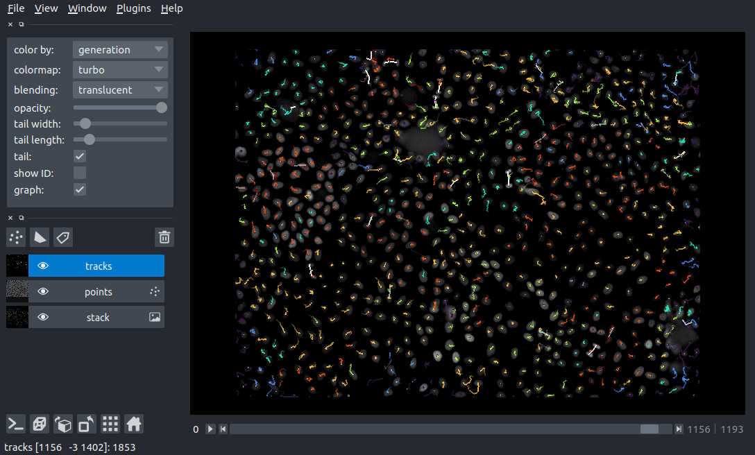 napari viewer with three layers: an image layer with cells, a points layer with detected cells and a tracks layer with the btrack results. The dimension slider under the canvas is close to the end of the stack, showing the tracks corresponding to each point colored by generation.