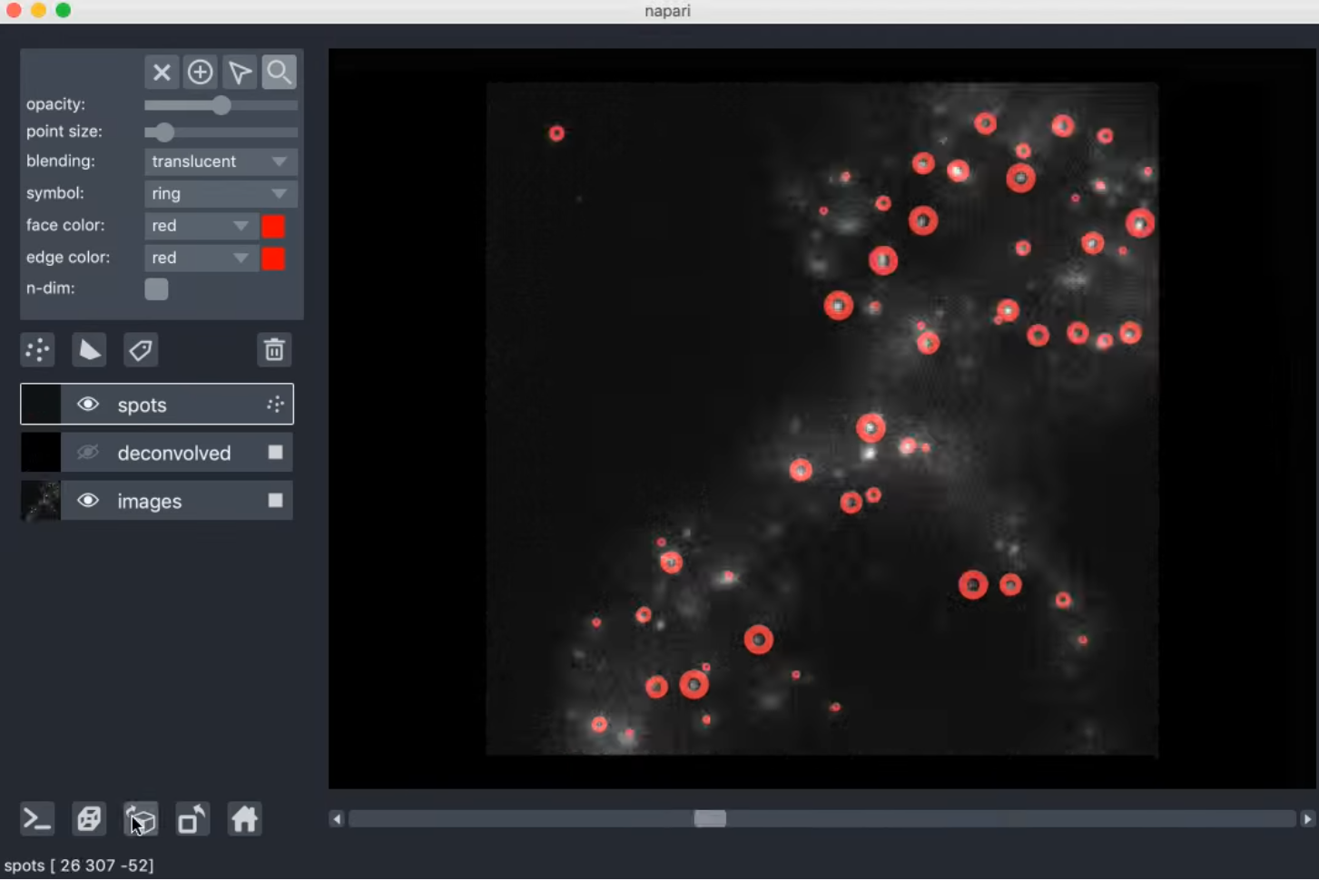 smFISH with points overlaid.