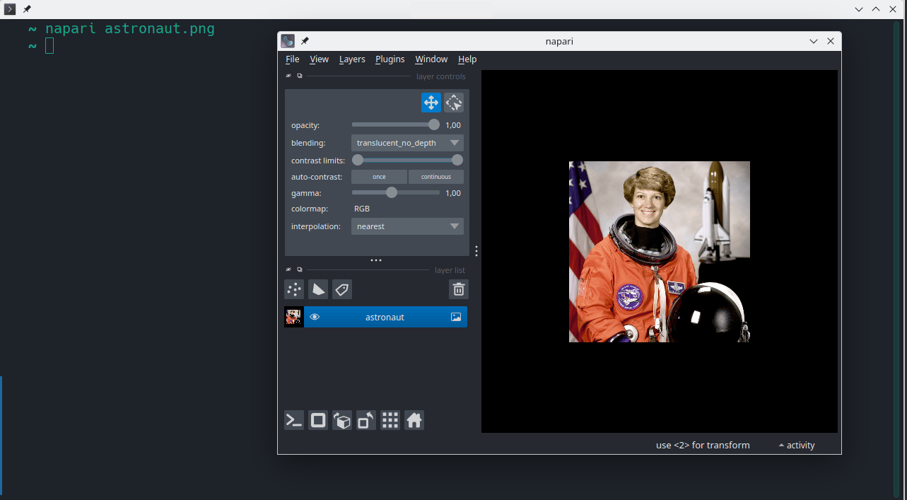 image: napari viewer displaying an image layer