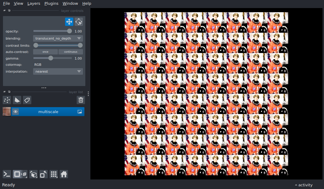 add multiscale image