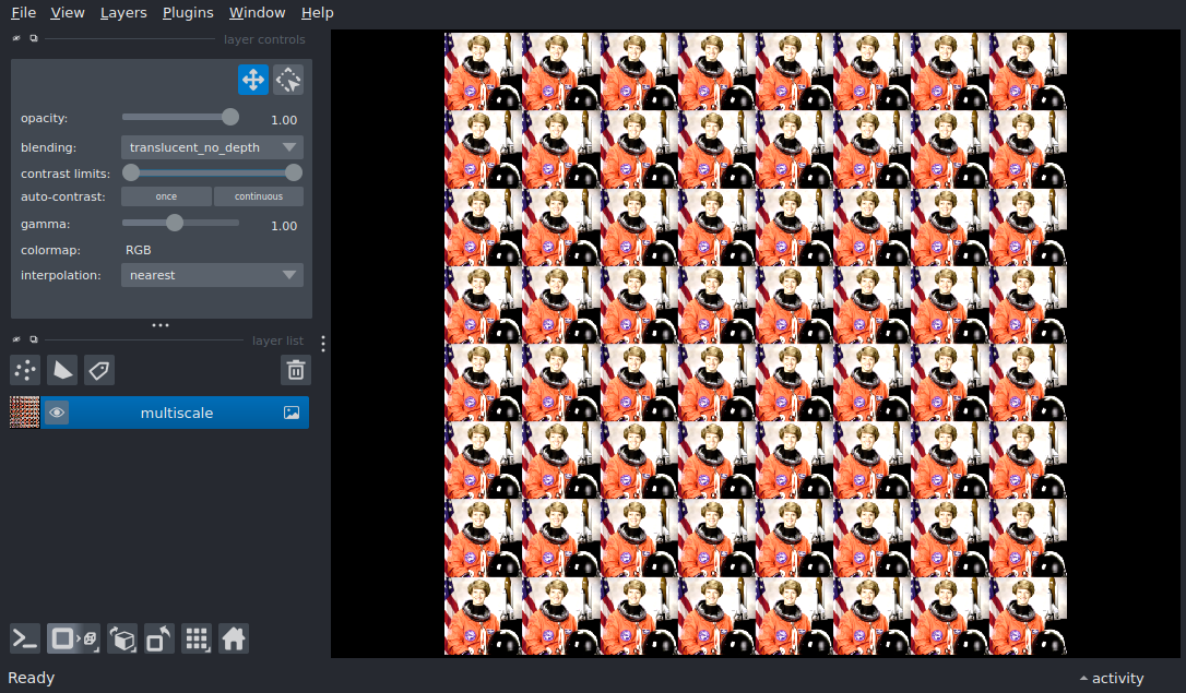 add multiscale image