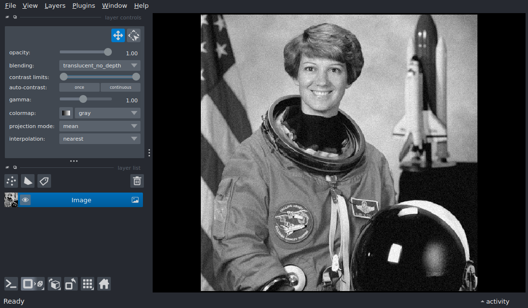 add grayscale image