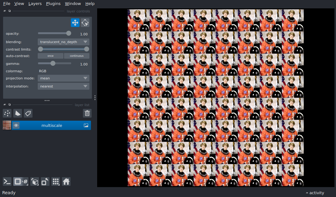 add multiscale image