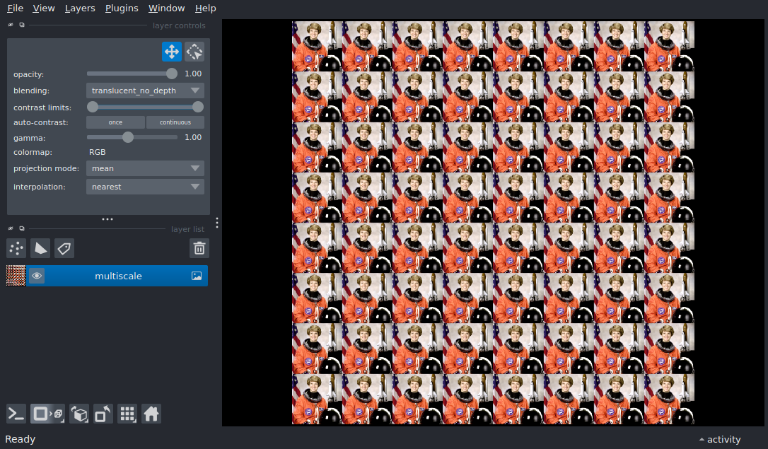add multiscale image
