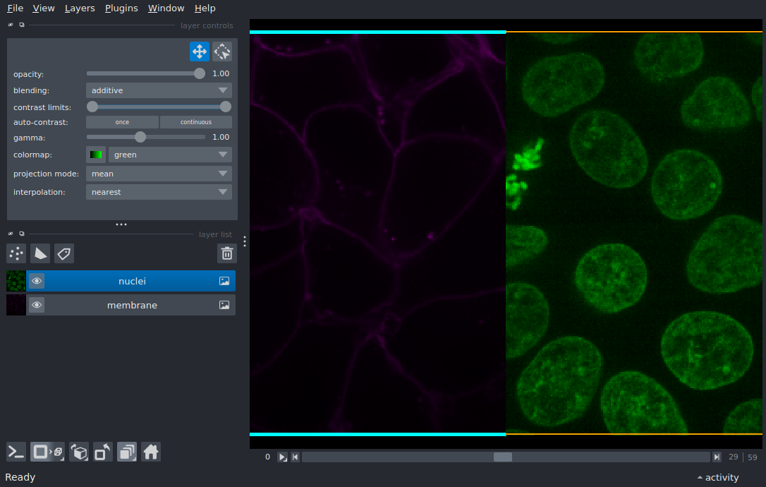 image border