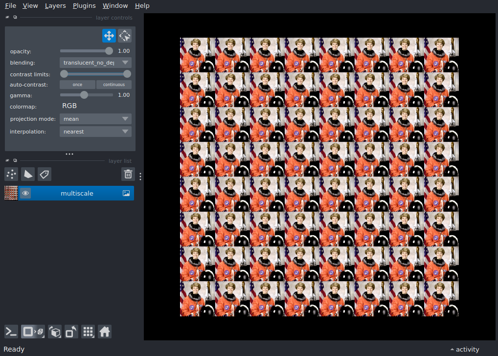 add multiscale image