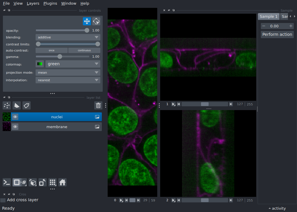 multiple viewer widget