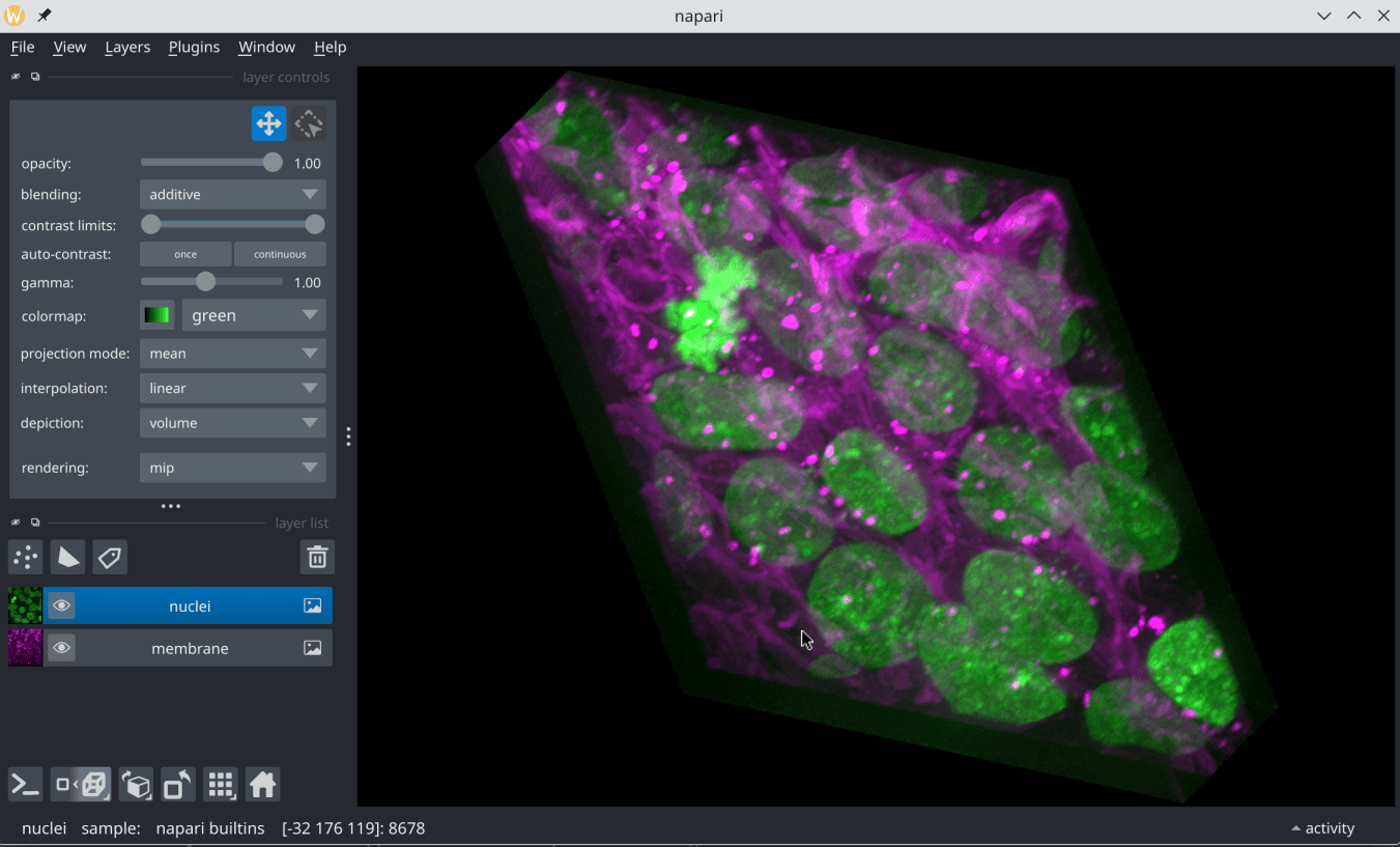 Cells 3D rendering