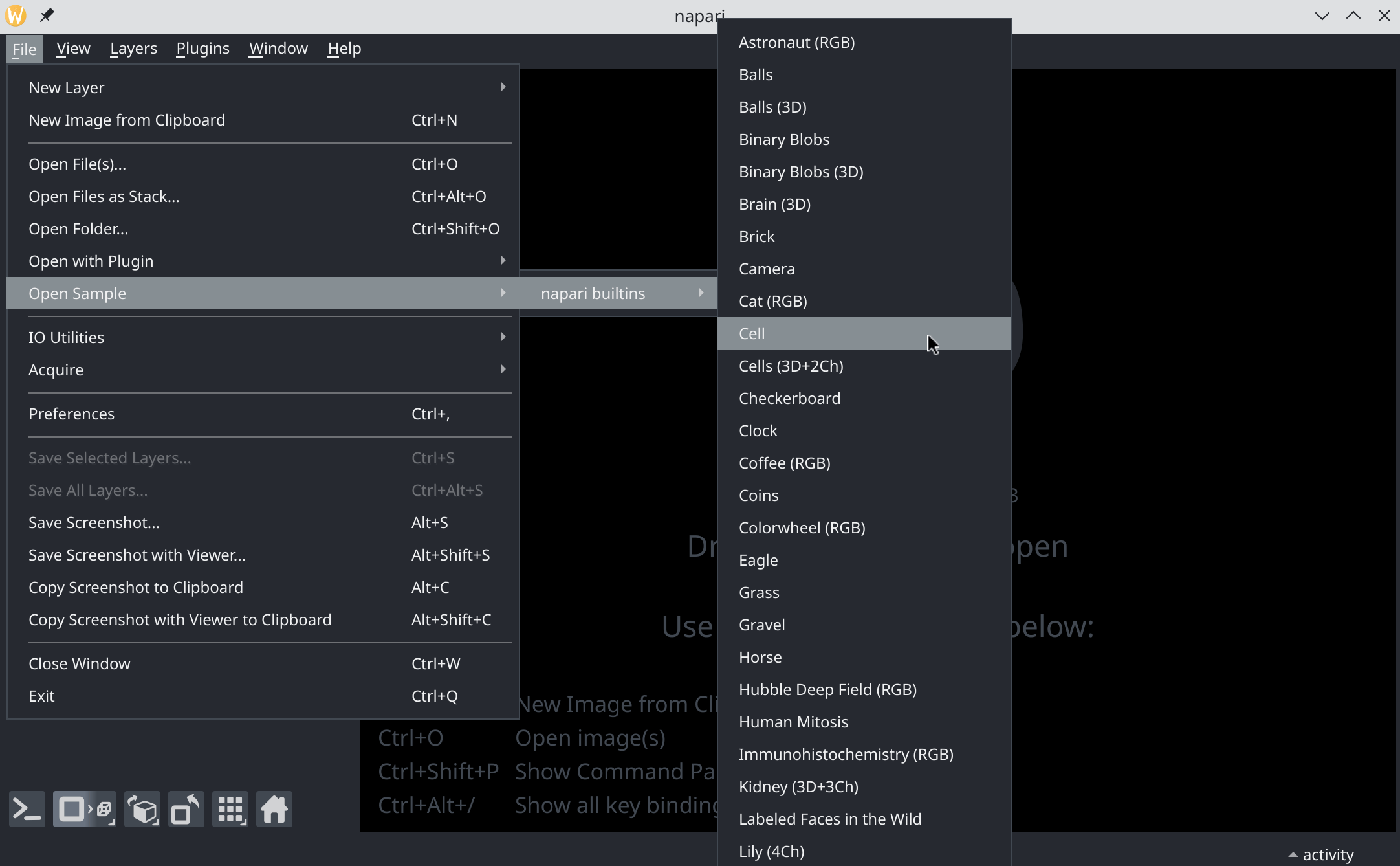 Open sample image