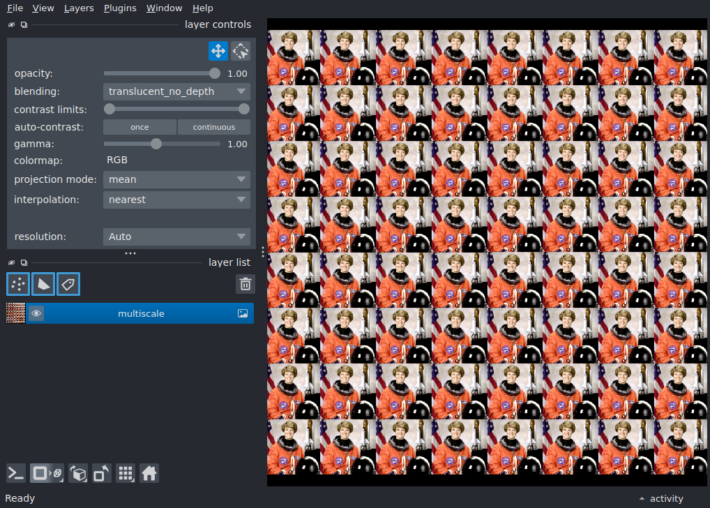 add multiscale image