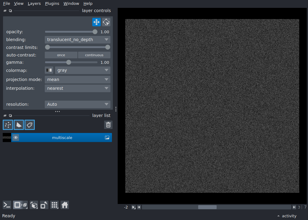 nD multiscale image