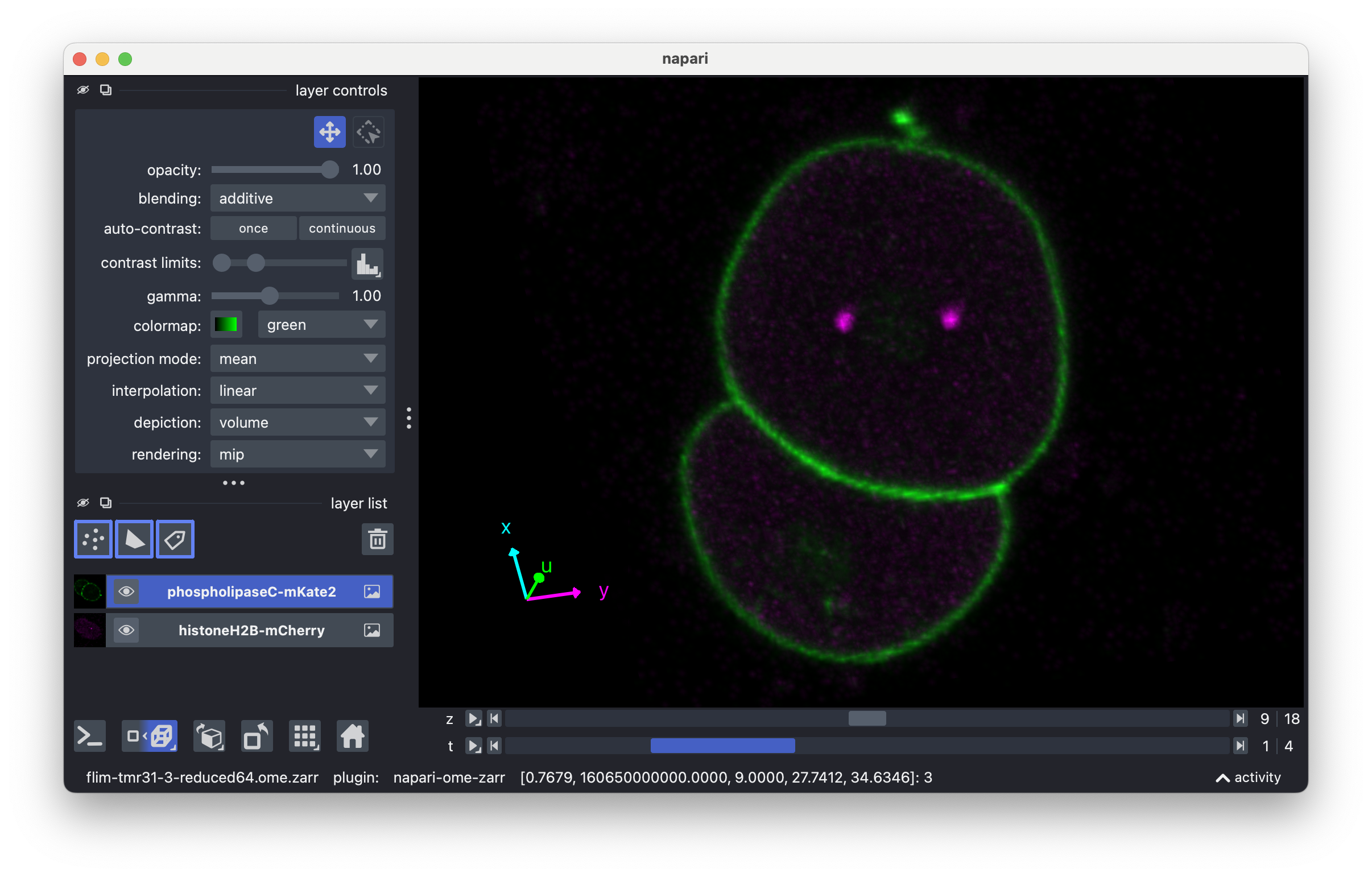 napari screenshot showing inherited labeled viewer axes