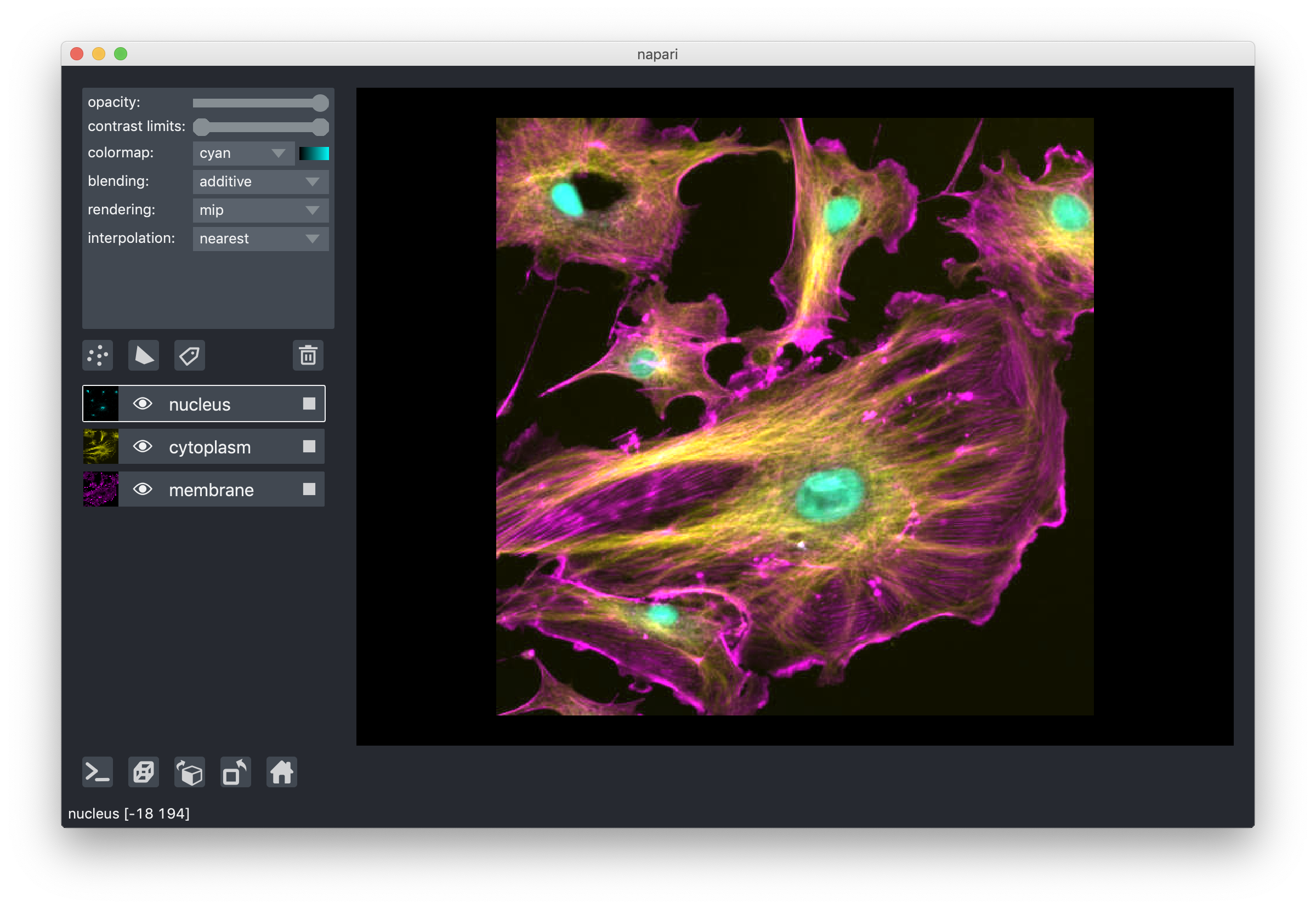 napari viewer with an image of a cell. Layer controls are open in the left sidebar with the blending set to additive.