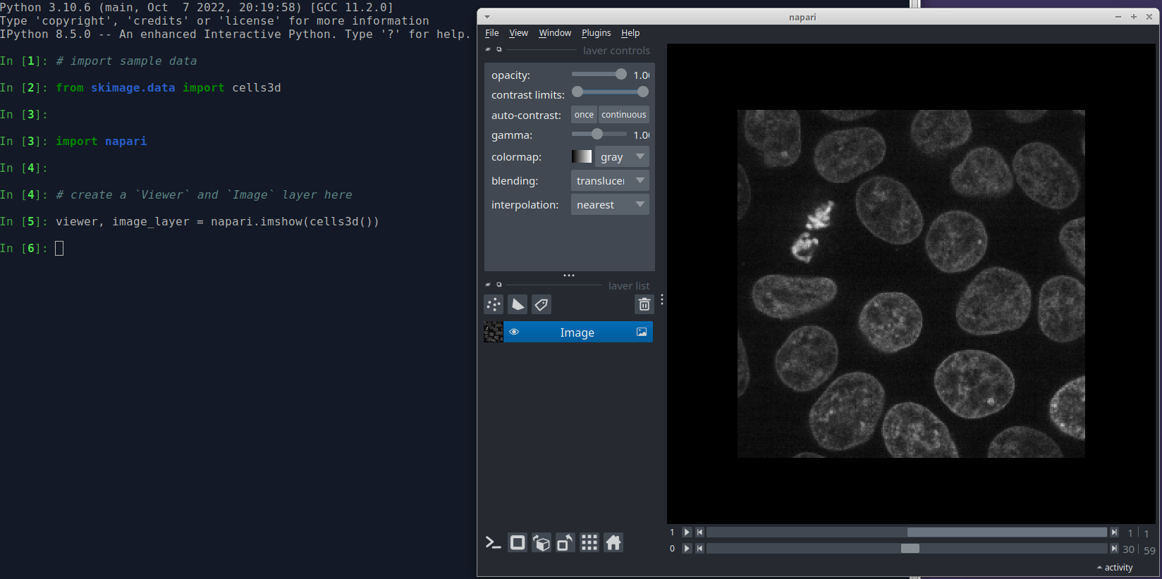image: napari launched from ipython