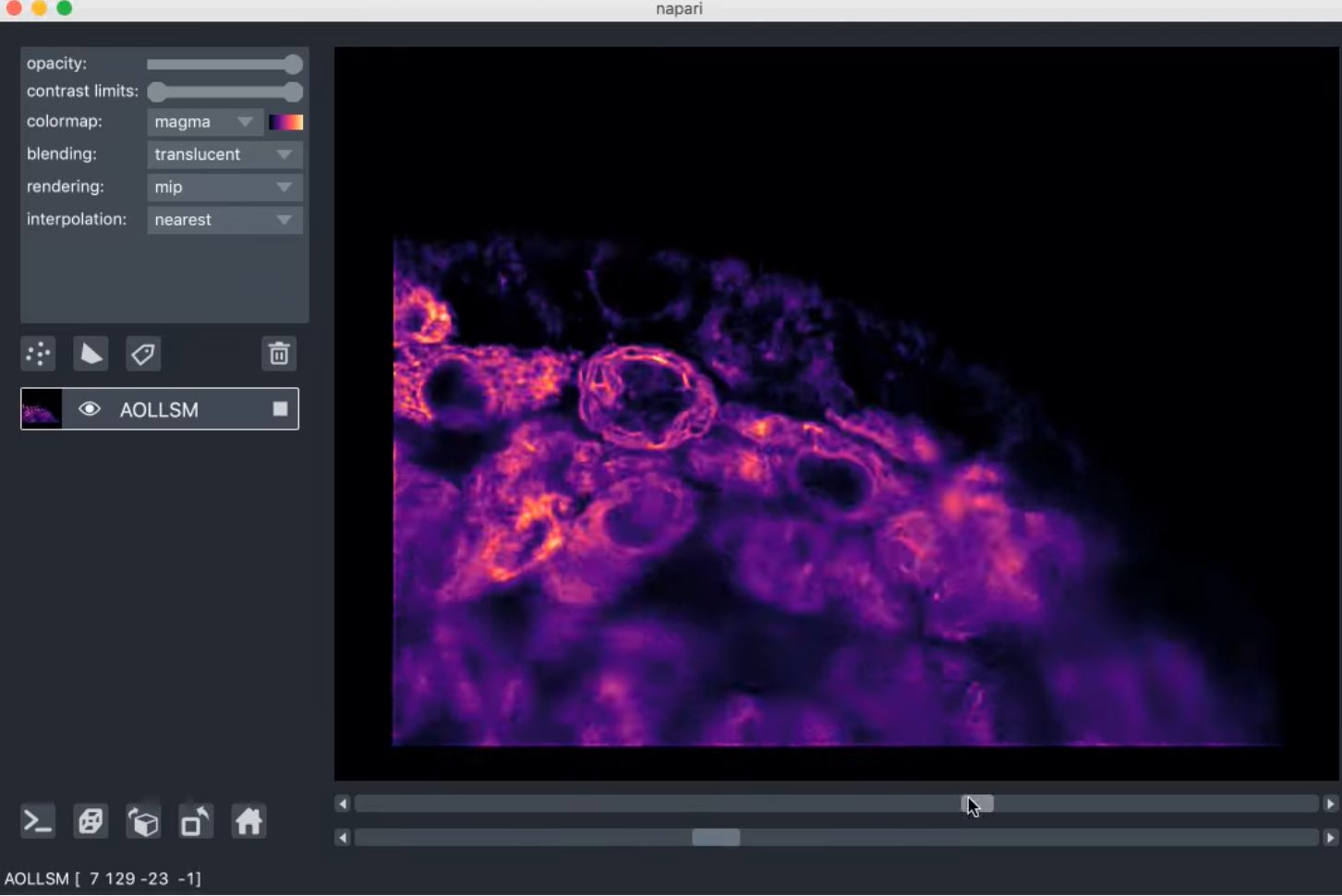 napari viewer with an image layer of lattice lightsheet data opened. It can be browsed using the slider at the bottom of the viewer.