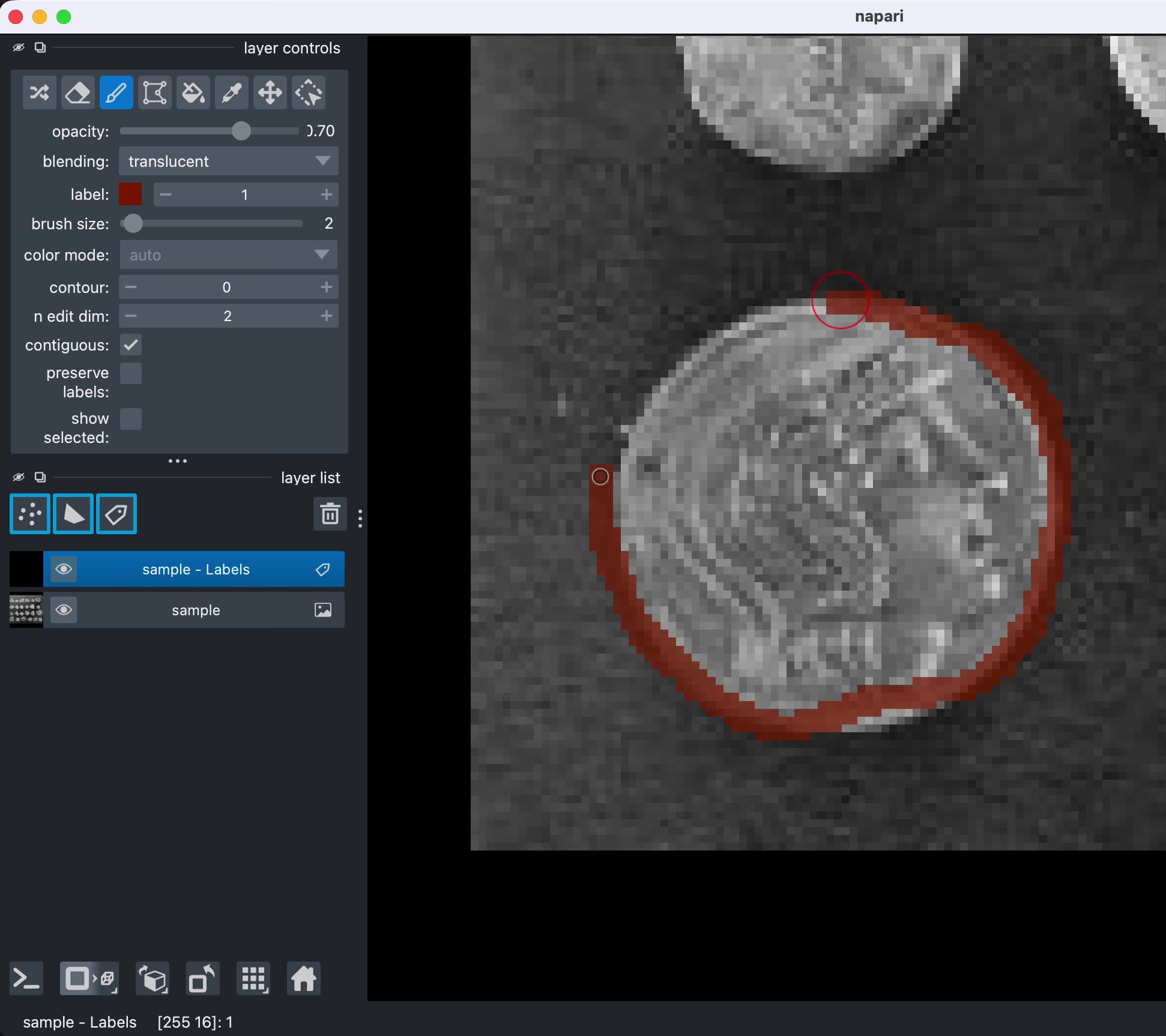 Video showing an annotation around a coin, with the coin filling with the annotated label at the end.