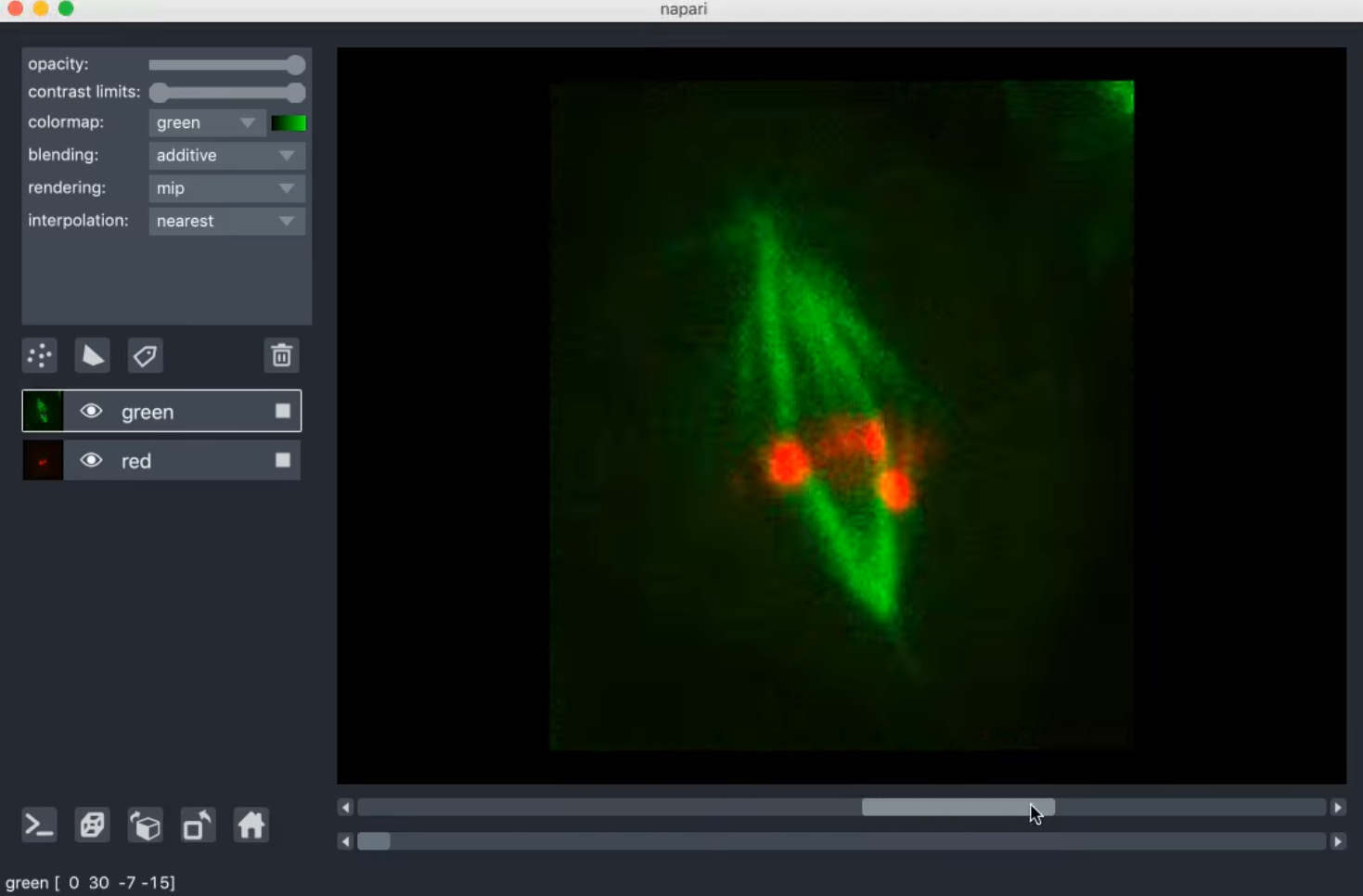 napari viewer with an image of a cell undergoing mitosis. The scroll bar below the canvas controls the timeseries, allowing different stages of mitosis to be visible.