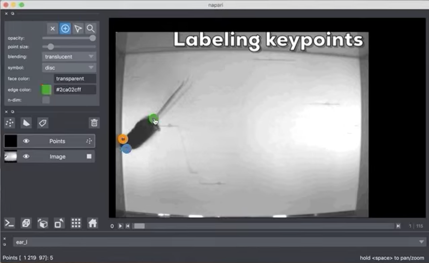 Demo of point annotator shows user adding keypoint labels to a video of a mouse, frame by frame. The user navigates the viewer mostly with keyboard shortcuts, and uses the computer mouse to click on keypoints like the mouse's ears and tail.