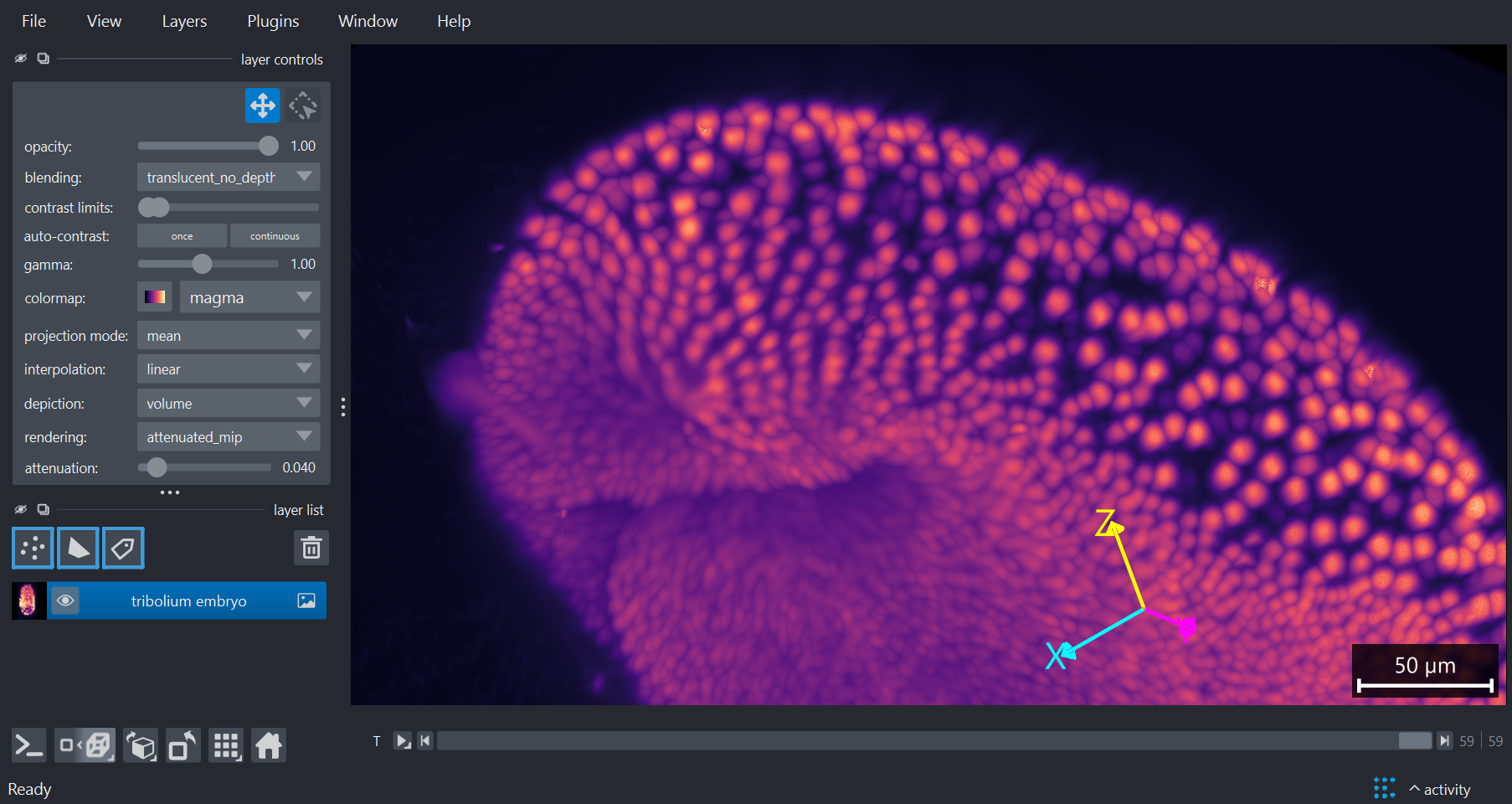 napari viewer showing a 4D image of a developing Tribolium embryo.  Dataset Fluo-N3DL-TRIF from the [cell tracking challenge](http://celltrackingchallenge.net/3d-datasets/) by Dr. A. Jain, MPI-CBG, Dresden, Germany.