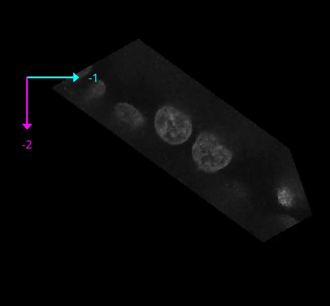 2D slicing through the same volume after adding support for non-orthogonal
          transformations. The cut through the rectangle is clearly not
          parallel to any of the faces.