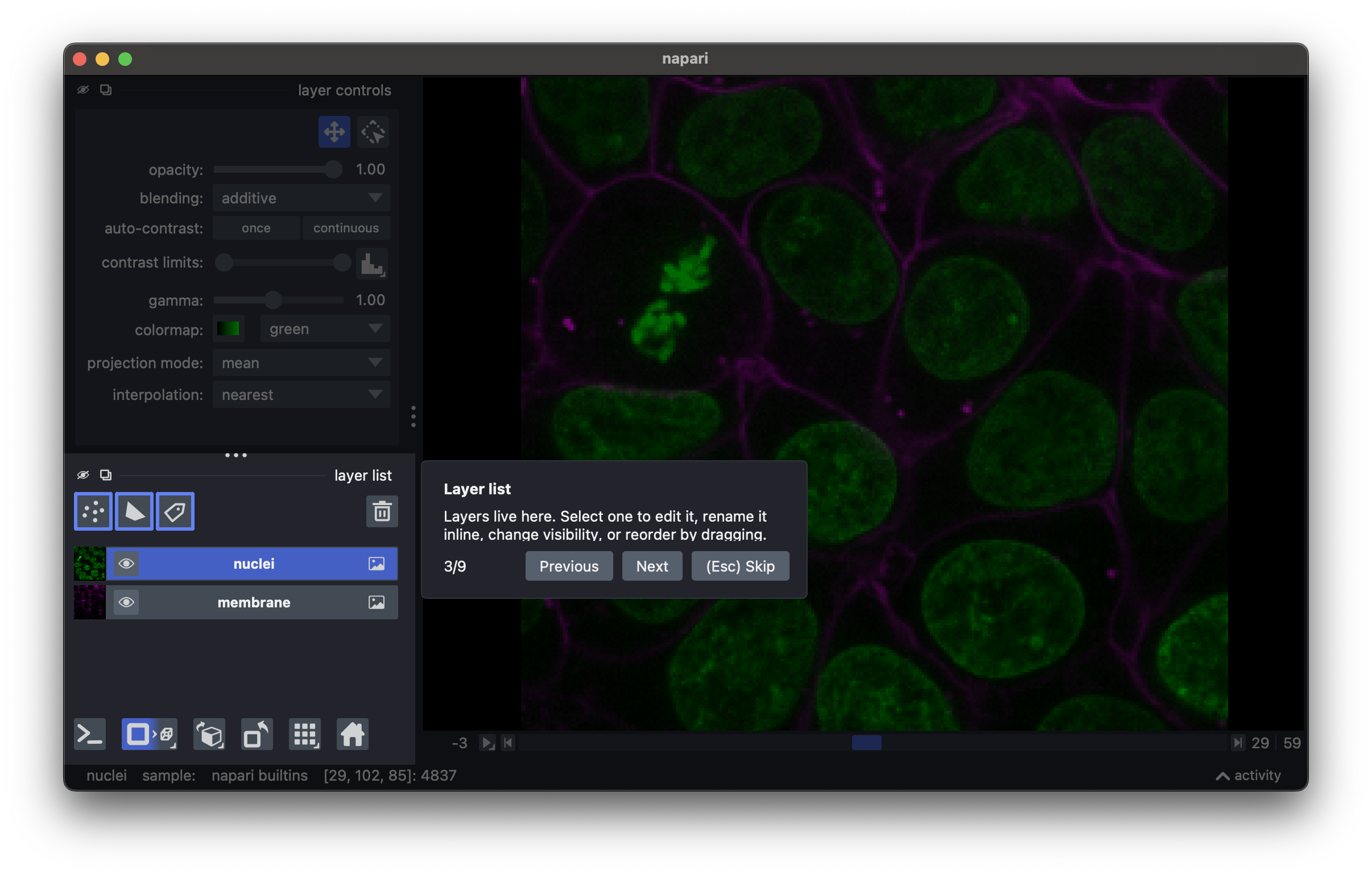 Screenshot of the napari viewer guided tour