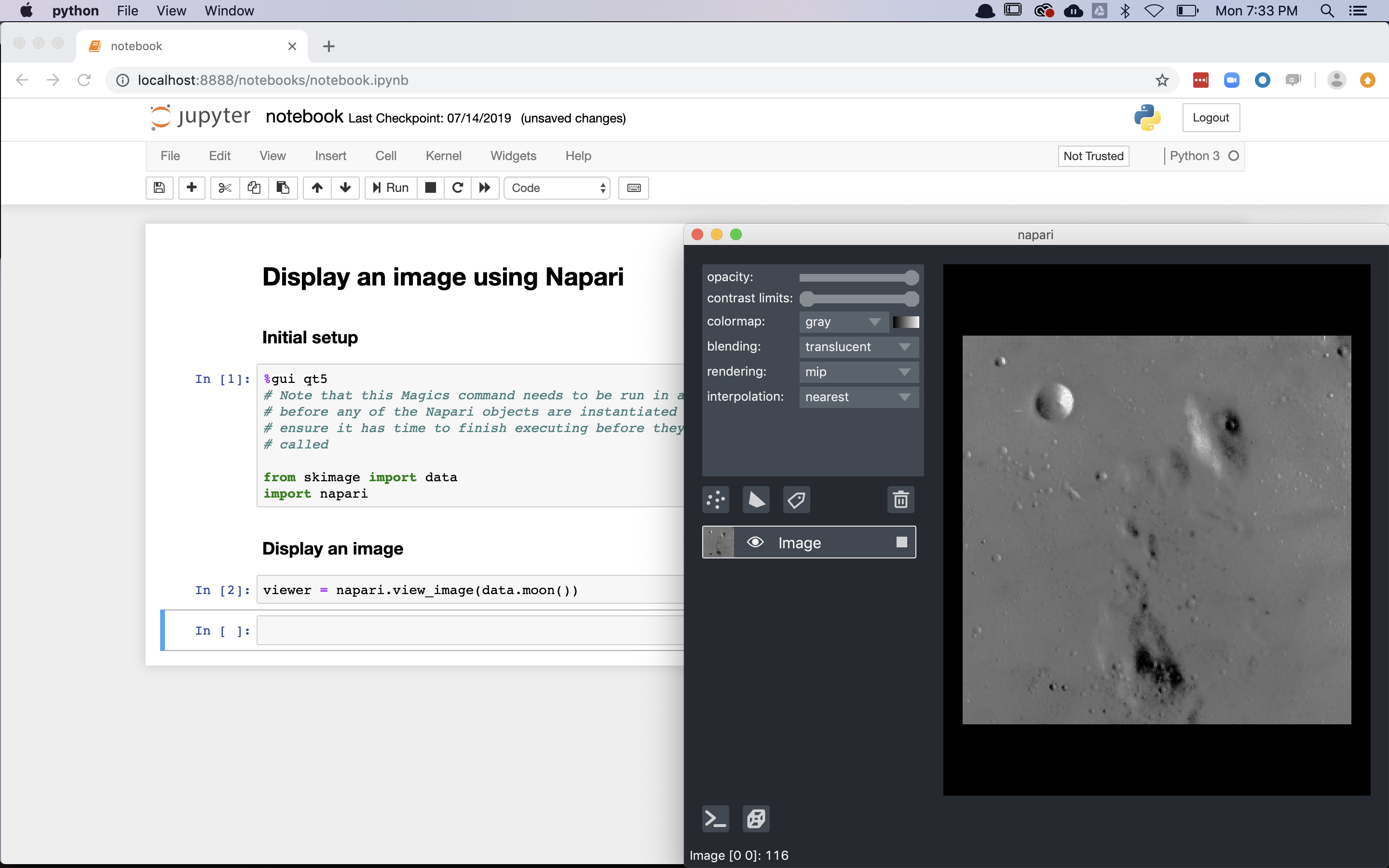 image: napari launched from a jupyter notebook