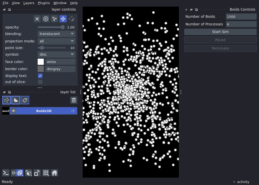 boids simulation