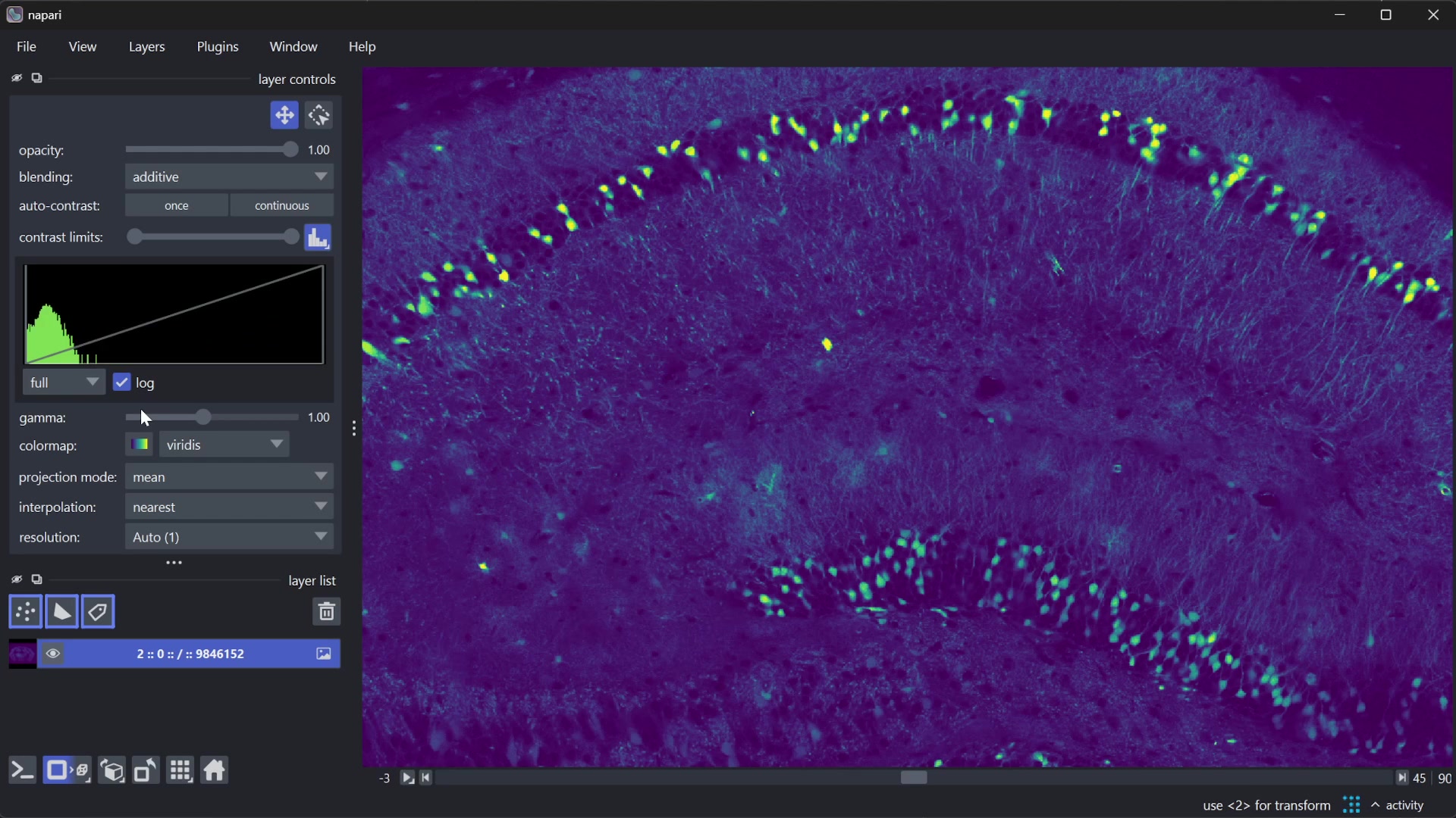 Video showing a napari viewer with a 2D canvas showing a slice of a large 3D image. The layer controls include a histogram of image intensities that updates as you pan around the canvas, and also, when selecting the full image, as pixels are drawn from remote data.