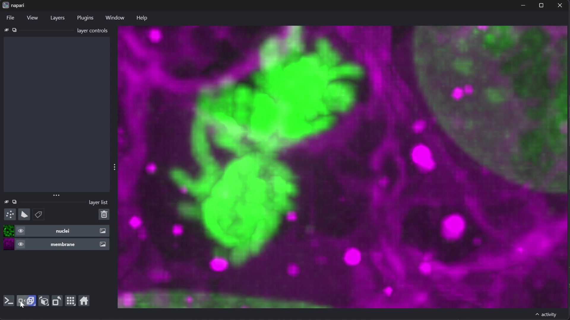 Video showing zoom and position staying in sync between 2D and 3D views of the same data.